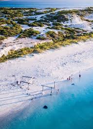 Hamelin Bay Western Australia Rise And Shine The Friendly Local Stingrays At Hamelin Bay Are Waiting To Gr Australia Landscape Australia Travel Oceania Travel