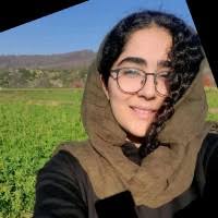 800+ "Enayat" profiles