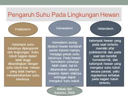 Maybe you would like to learn more about one of these? Kelompok 7 Termoregulasi Taufik Rahman Vivy Hermana Pratiwi Ppt Download