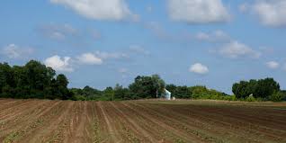 Best monmouth county tree services. Monmouth Conservation Foundation Linkedin