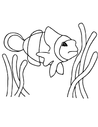 You may even spot an ariel lookalike in this bunch o. Free Printable Coloring Page And Clipart Clown Fish Coloring Home