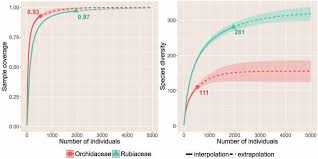 Image result for Tridactyle eggelingii