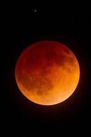 80 romantic photos for your perfect couple goals aninspiring happy just do it humor day care valentines romantic in 2020 moon shadow beautiful moon moon pictures pinterest