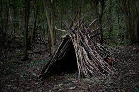 Ellie Davies Woodland Dwellings Haunted Trail Ideas Haunted Woods Haunted Hayride