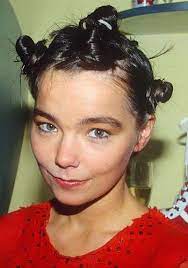 Bjork Buns Crazy Hair Days Hair Day Hair Styles