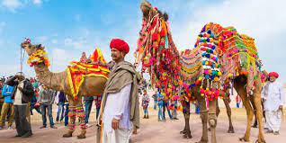 Bikaner camel festival is charming fest that showcases the culture of rajasthan in subtle way. Bikaner Camel Festival Rajasthan Things To Do In Camel Fair India Tours