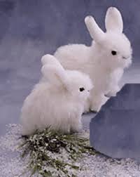 So a person with a hare daemon is a little bit… convenience based? Snowshoe Hare Snowshoe Hare Snowshoe Rabbit Cute Animals