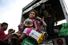 Die vegane ernährung bestimmt das leben von attila hildmann. Hito Steyerl