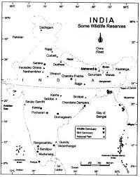 Natural Vegetation And Wild Life Class 9 Notes Geography Chapter 5 Learn Cbse Class9geographynotes Naturalvegetationandw Geography Wildlife Science Notes