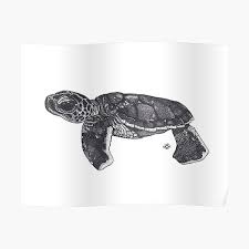 Worldwide shipping available at society6.com. Realistic Sea Turtle Wall Art Redbubble