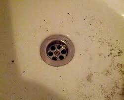 Abfluss Dusche Reinigen So Wird Der Duschabluss Schnell Wieder Frei