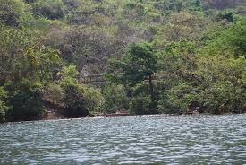 Resultado de imagen de platillos tipicos de pijijiapan