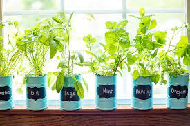 A kitchen windowsill herb garden brings nature indoors while also bringing fresh flavors to anything you cook. How To Make An Indoor Window Sill Herb Garden The Gracious Wife