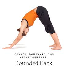 A Beginner S Guide To Downward Facing Dog Adho Mukha Svanasana Yogauonline