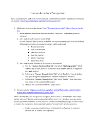 Human Ancestors Comparison For A Comprehensive Look At All
