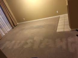 Stanley steemer offers expert cleaning and restoration services for carpet, hardwood, tile & grout, upholstery and air ducts. About Us Mustang Carpet Tile Cleaning
