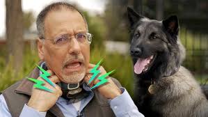 Best Selling Bark Collar NBJU Training Collar How to Setup