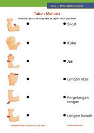 Check spelling or type a new query. Pin On Belajar Anak