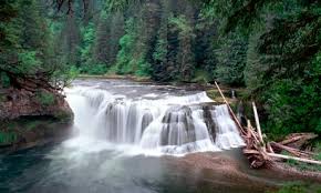 Van damme state park campground this campground is conveniently found across the street from the pacific ocean! Top 10 Us West Coast Campsites Travel Theguardian Com
