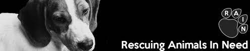 1,937 likes · 123 talking about this · 15 were here. Rain Dog Cat Rescue Orlando Rescuing Animals In Need