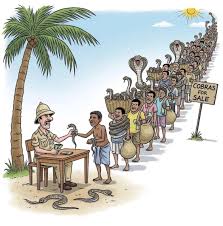 images?q=tbn:ANd9GcQto13sVmM823c0Kmo6RmU