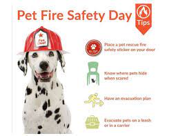 Pet emergency hospital san mateo. 9epukzpvybvzkm