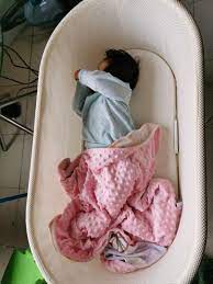 Happiest Baby Snoo Customer Service Free Delivery Goabroad Org Pk