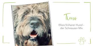 In solchen fällen ist die bestat­tung im garten grund­sätz­lich verboten, damit sich die krank­heits­er­re­ger nicht ver­brei­ten. Nur Unter Bestimmten Voraussetzungen Darf Man Tiere Im Garten Begraben Animal Tree Tierbestattung