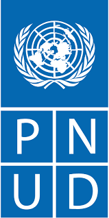 Emplois Pnud