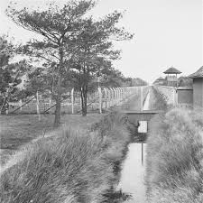 Durchgangslager westerbork) was a transit camp in drenthe province, northeastern netherlands, during world war ii. Herzogenbusch Concentration Camp Wikipedia