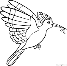 Disturb a jumping worm and it's like a nightcrawler on steroids: Hoopoe Eating Worm Coloring Page Coloringall