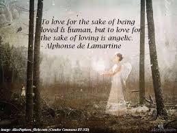 Love For Love S Sake 30 Quotations About Unconditional Love The Mindful Word It knows no law, no pity, it dares all things and crushes.