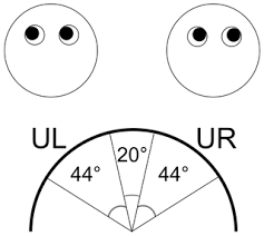 It doesn't matter who you are or. The Eyes Don T Have It Lie Detection And Neuro Linguistic Programming