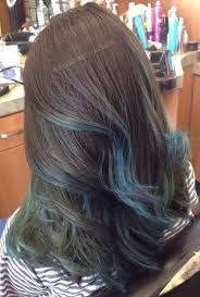 New Hair Brown Highlights Blue 49 Ideas Hair Color Streaks Hair Styles Hair Highlights