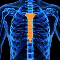 Sternum Malformations Pathologies Et Examens