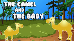 Okay, then why are our eyelashes long? The Camel And The Baby Youtube