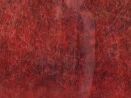 Computer Virus 1.0 and the Return of Lazarus