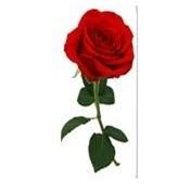 Blakemore Family Obituaries