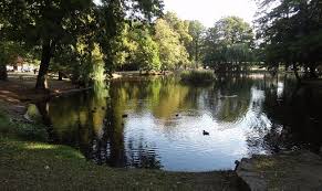 Parc De La Fecht Munster 2020 All You Need To Know Before You Go With Photos Tripadvisor
