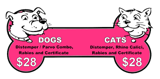Cat vaccination recommendations must be based on risk assessment. Low Cost Dog And Cat Shots In Northern California Northern California Mobile Pet Vaccination Clinic By Yolano Vet