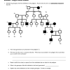 Pedigree chart worksheet with answer key 11 best images of. Https Encrypted Tbn0 Gstatic Com Images Q Tbn And9gcqflnpqrzcmzvjuowr Omk32sfqxpds Sleavjxmjemhvmgkwbd Usqp Cau