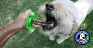 They can smell a little funky. The Best Bully Stick Holder For Fido Fido Friendly