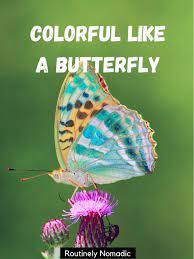 Perfect Butterfly Quotes For 2022 Routinely Nomadic