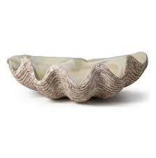 Maybe you would like to learn more about one of these? 15 Giant Clamshell Decoration Ideas Clam Shell Clamshell Clams