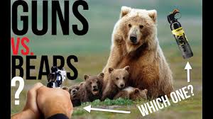 Alaskan giant kodiak brown bear, mightiest carnivore, wild animal fauna. Bears Vs Handguns Defending Yourself In Bear Country Youtube