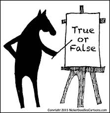 Alexander the great, isn't called great for no reason, as many know, he accomplished a lot in his short lifetime. How Much Do You Know About Horses Horse Nation