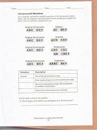 Chromosomal Mutations Worksheet Biology Worksheet Biology Lessons School Worksheets