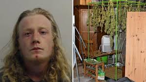 Man who tried to smuggle drugs into UK disguised as cat food is jailed for  more than four years