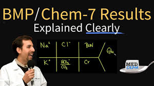 Basic Metabolic Panel Bmp Chem 7 Results Explained