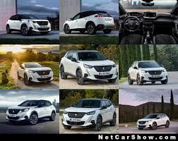 The peugeot 2008 has become one of the french brand's most important models, attracting over a million customers so far. Peugeot 2008 2020 Pictures Information Specs